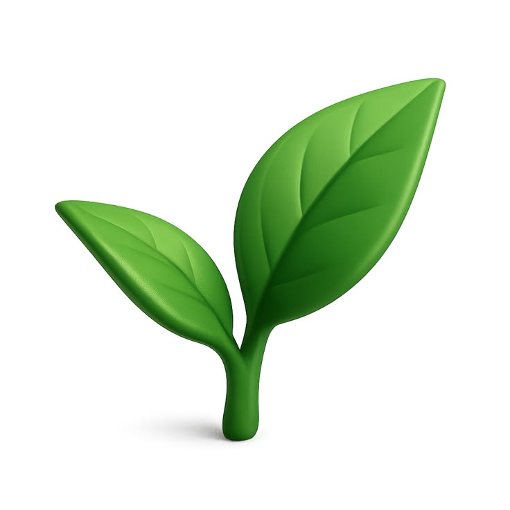 stylized 3d tea leaf icon with isometric view