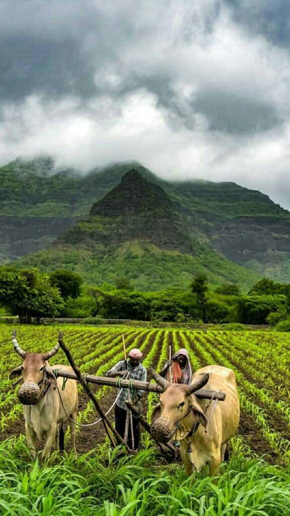 india ??(??????????).